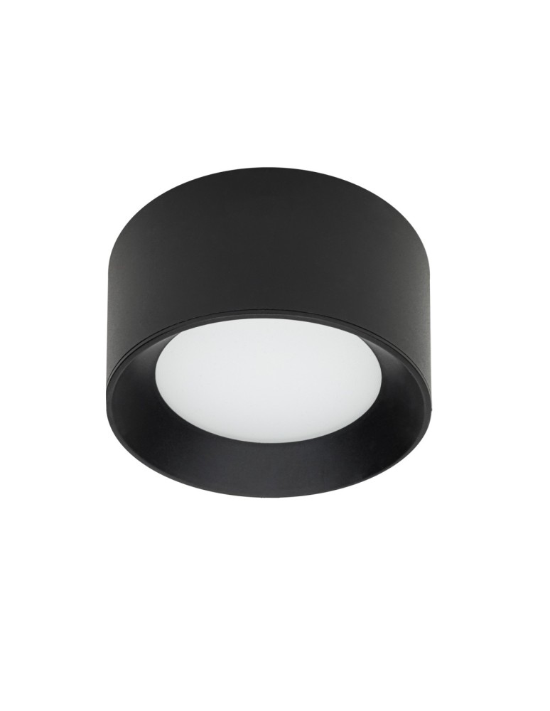 Bathroom ceiling lamps - Italux Sirius Surface Mounted Black IP44 1xLED 13W 3000K+4000K WG-606A/BJ-WW/MULTI - product kolory-swiatla.pl 3
