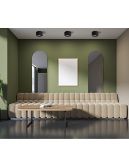 Italux Sirius Surface-mounted Black IP44 1xLED 28W 3000K+4000K WG-608C/BJ-WW/MULTI - product 2