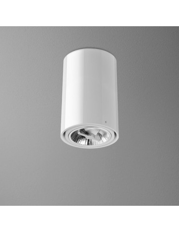 Aqform TUBA 111 230V 23cm surface-mounted 46512-0000-U8-PH