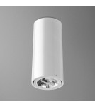Ceiling lamps - Aqform TUBA 111 230V 34cm surface-mounted 46610-0000-U8-PH - product 1