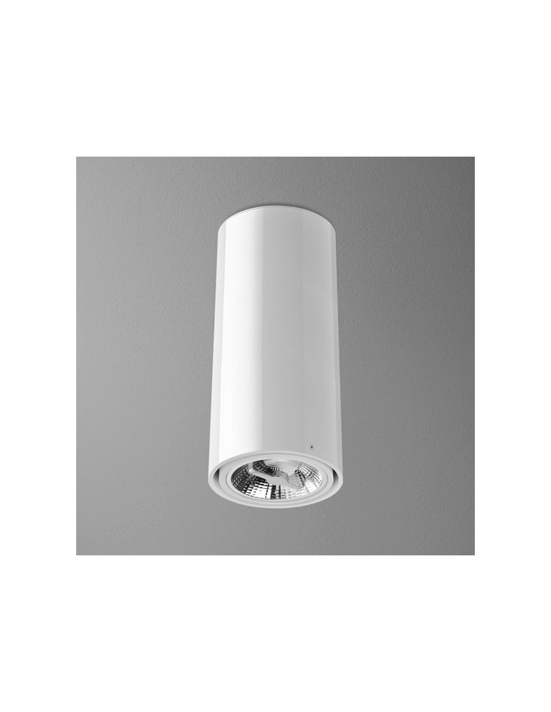 Ceiling lamps - Aqform TUBA 111 230V 34cm surface-mounted 46610-0000-U8-PH - product kolory-swiatla.pl 1