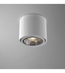Ceiling lamps - Aqform TUBA 111 surface-mounted 11cm 45611-0000-T8-PH - product 1
