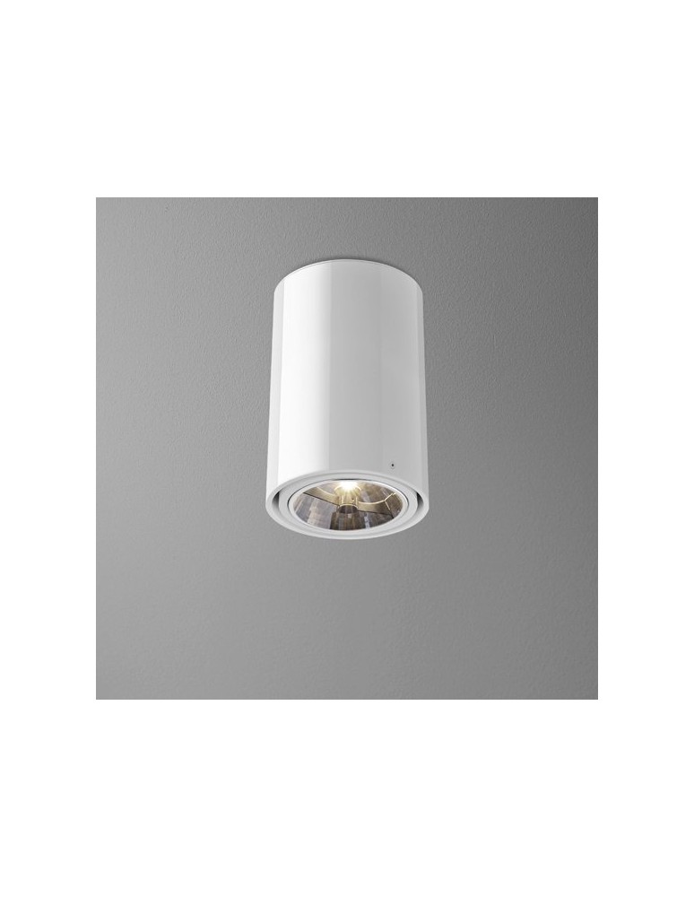 Ceiling lamps - Aqform TUBA 111 surface-mounted 23cm 46511-0000-T8-PH- - product kolory-swiatla.pl 1