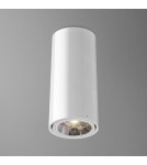 Ceiling lamps - Aqform TUBA 111 surface-mounted 34cm 46611-0000-T8-PH - product 1