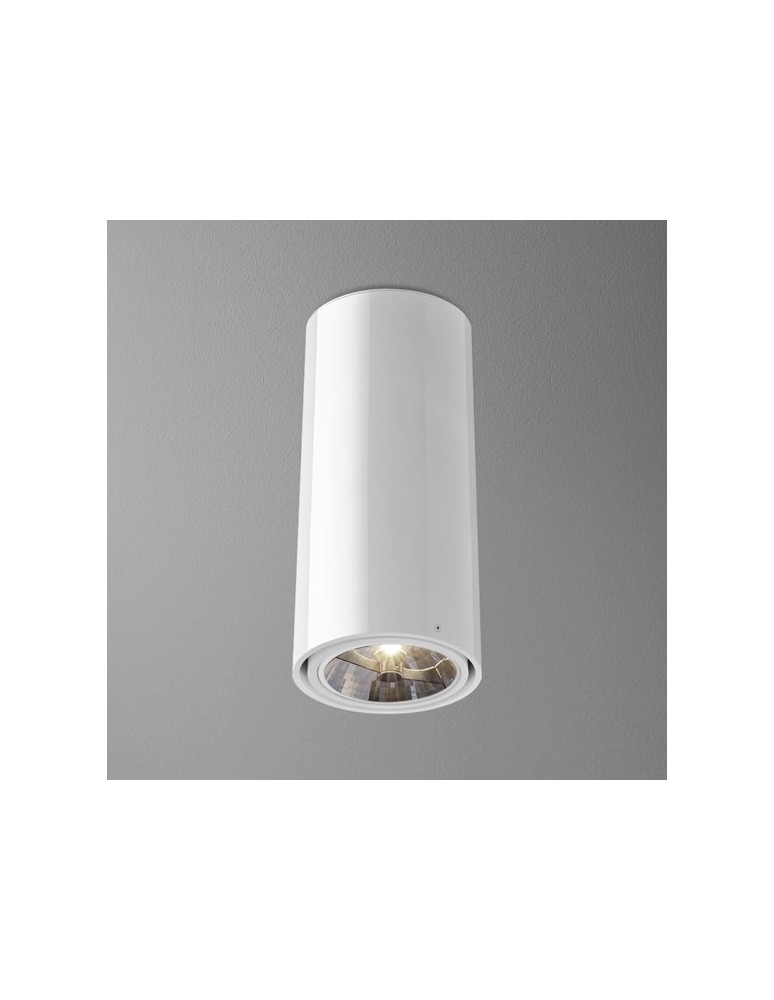 Ceiling lamps - Aqform TUBA 111 surface-mounted 34cm 46611-0000-T8-PH - product kolory-swiatla.pl 1
