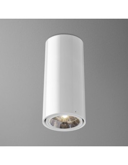 Aqform TUBA 111 surface-mounted 34cm 46611-0000-T8-PH
