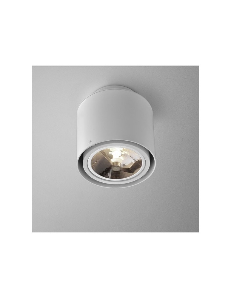 Ceiling lamps - Aqform TUBA distance 111x1 surface-mounted 45603-0000-T8-PH - product kolory-swiatla.pl 1