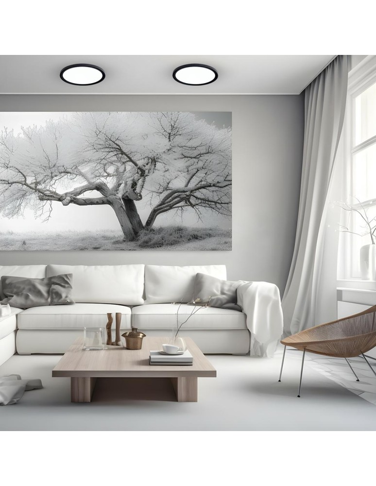 LED Plafonds - Milagro Plafond MAQ 24W 3CCT Black ML0439 - product kolory-swiatla.pl 5