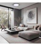 LED Plafonds - Milagro Plafond MAQ 40W 3CCT Black ML0441 - product 5