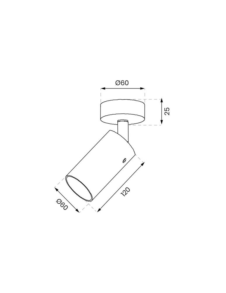 Adjustable ceiling lamps - spots - Milagro Luminaire Ricky Spot Gold 1xGU10 ML0689 - product kolory-swiatla.pl 6