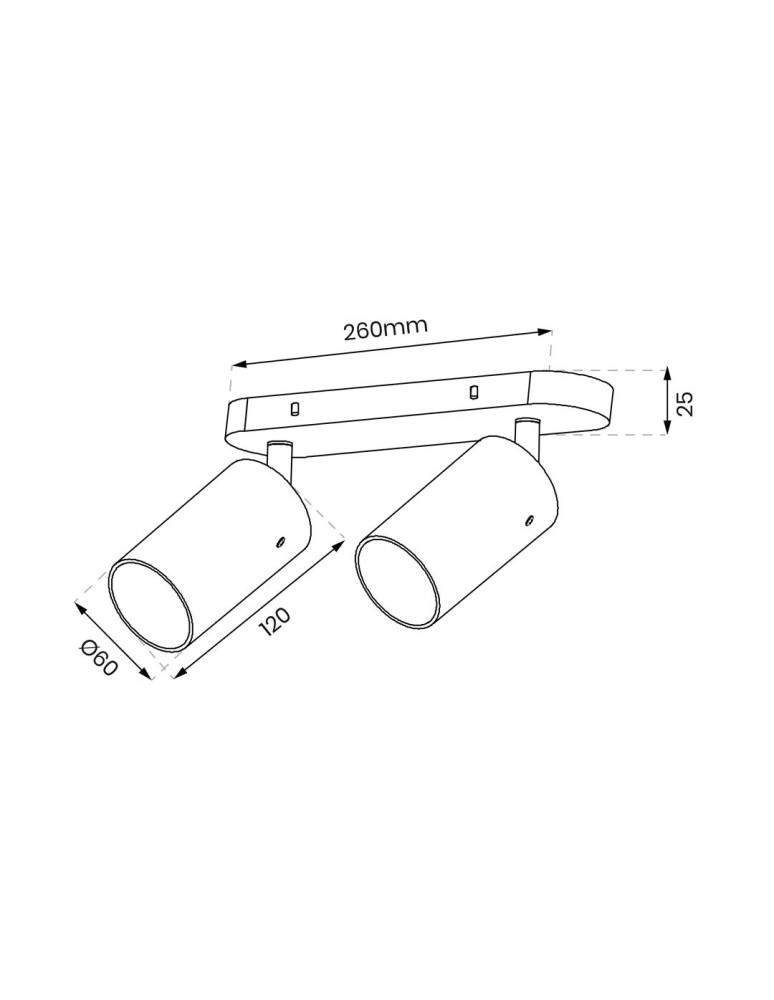 Adjustable ceiling lamps - spots - Milagro Luminaire Ricky Spot Gold 2xGU10 ML0691 - product kolory-swiatla.pl 6