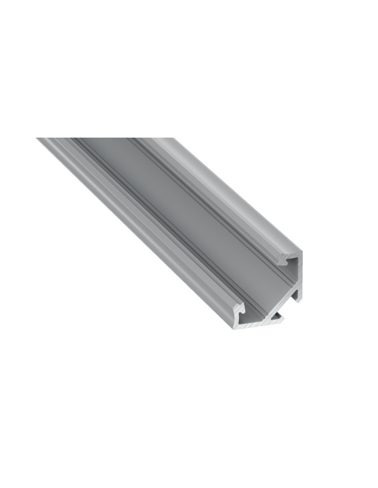 LED profiles - Eko-Light SILVER ALUMINIUM PROFILE TYPE C 2m + SILVER GLASS EKPR0101 - product kolory-swiatla.pl 1