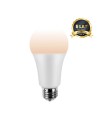 Eko-Light Żarówka LED Wi-FI A60 8W E27 Smart Tuya CCT+DIM EKSM7497