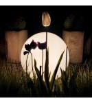 Garden balls - Eko-Light Globo Fi400 Garden Ball 1xE27 EKO0458. - product 3