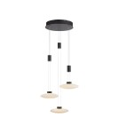 Pendant lamps - Paul Neuhaus Lautada Pendant Round Adjustable Height 120-200cm Dimmable with Smooth Ordinary Switch Black 2082-18 - product 2