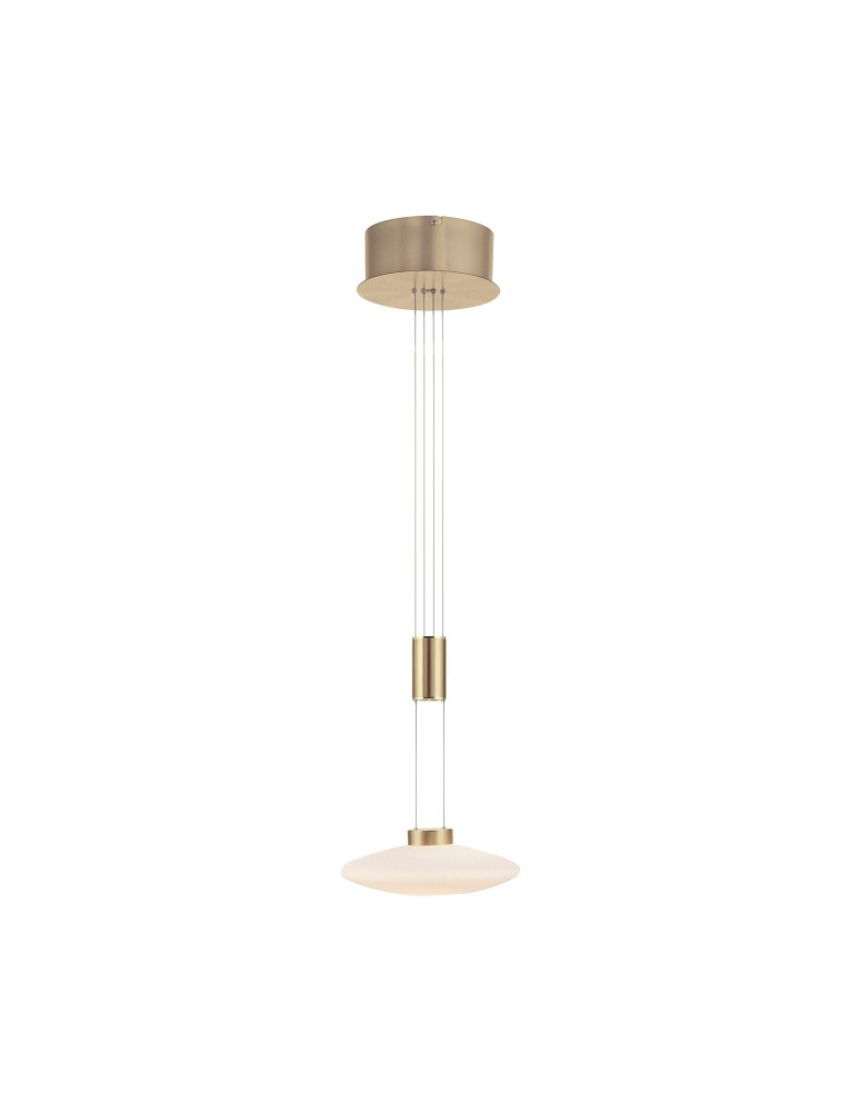 Pendant lamps - Paul Neuhaus Lautada Pendant Adjustable Height 120-200cm Fluid Dimmable Ordinary Switch Brass Mat 2080-60 - product kolory-swiatla.pl 2