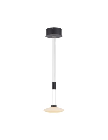 Paul Neuhaus Lautada Pendant Adjustable Height 120-200cm Fluidly Dimmable with Ordinary Switch Black 2080-18 - product 2