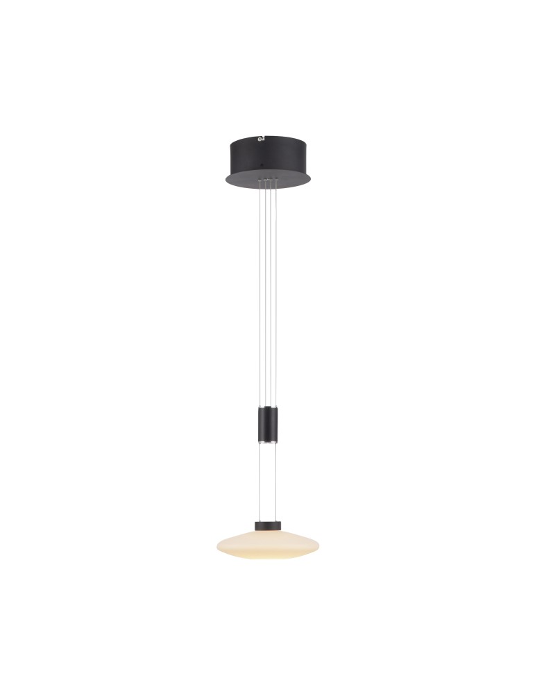Pendant lamps - Paul Neuhaus Lautada Pendant Adjustable Height 120-200cm Fluidly Dimmable with Ordinary Switch Black 2080-18 - product kolory-swiatla.pl 2
