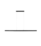 Pendant lamps over desk - Paul Neuhaus Luzi Extension Pendant Lamp 100-180cm Over Table Anthracite 11660-13 - product 2