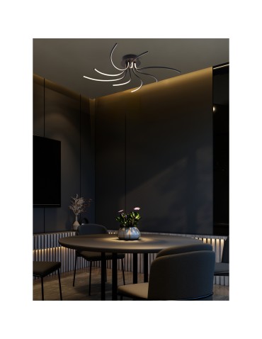 Zuma Line Diogo Ceiling Light Colour Switch 3000K/4000K/6000K Black 2200012-Bk. - product 2