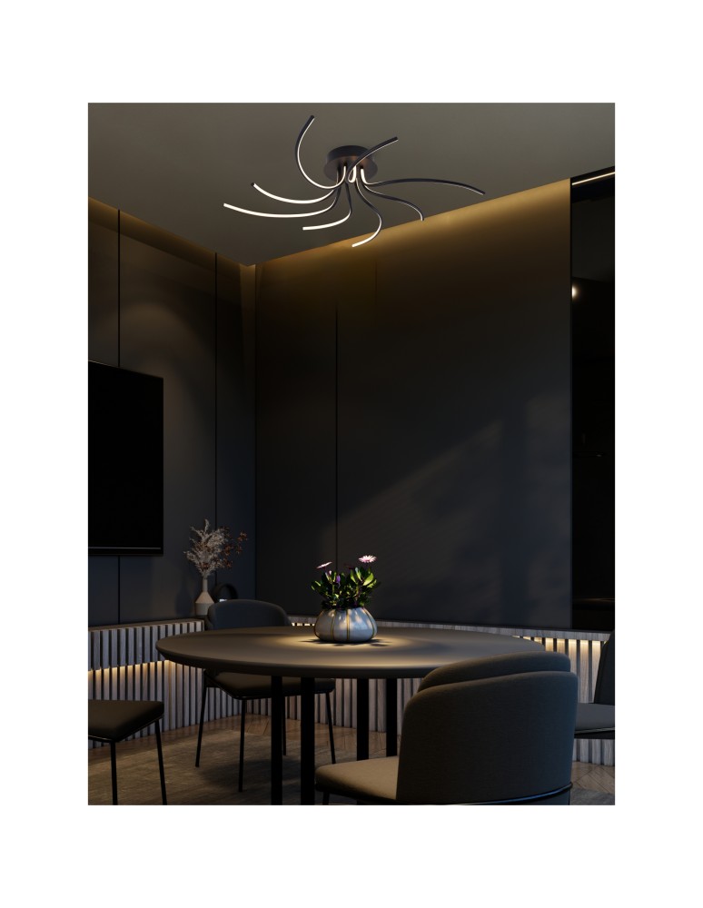 LED ceiling lamps - Zuma Line Diogo Ceiling Light Colour Switch 3000K/4000K/6000K Black 2200012-Bk. - product kolory-swiatla.pl 2