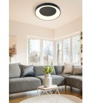 LED ceiling lamps - Zuma Line Cameron Ceiling Lamp Black Mx4019-1M-3Bt - product 2