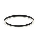 Ceiling lamps - Paul Neuhaus Pure-Lines 70cm Ceiling Light With Remote Control With Light Color Control And Dimming Anthracite 6306-13 - product 2