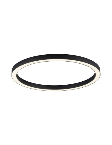 Paul Neuhaus Pure-Lines 70cm Ceiling Light With Remote Control With Light Color Control And Dimming Anthracite 6306-13 - product 2