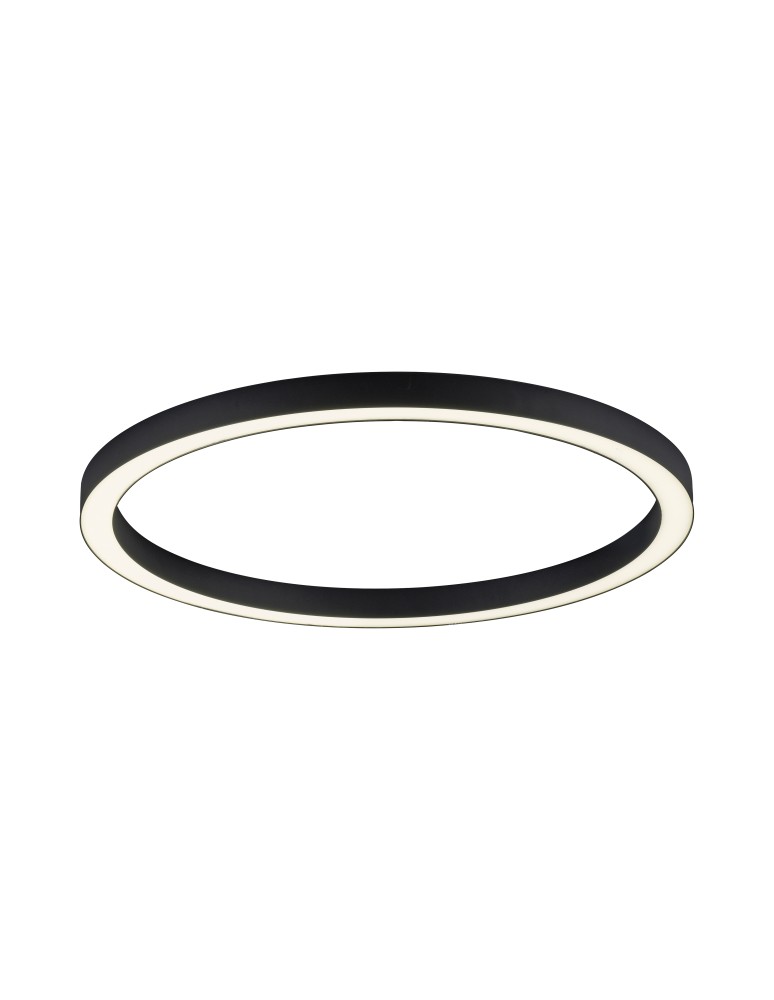 Ceiling lamps - Paul Neuhaus Pure-Lines 70cm Ceiling Light With Remote Control With Light Color Control And Dimming Anthracite 6306-13 - product kolory-swiatla.pl 2