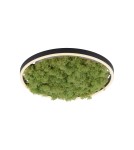 Ceiling lamps - Leuchten Direkt Green Ritu 39cm Icelandic Moss Dimmable 3-Stage Ordinary Switch 3000K Black/Green 15391-66 - product 2
