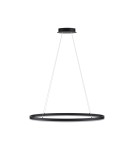 Pendant lamps - Paul Neuhaus Titus 80cm Hanging Oval Smooth Dimmable Function Ordinary Wall Switch Anthracite 2392-13 - product 2
