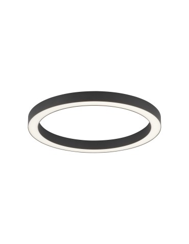 Paul Neuhaus Pure-Lines 50cm Ceiling Light with Remote Control with Light Color Control and Dimming Anthracite 6309-13 - product 2