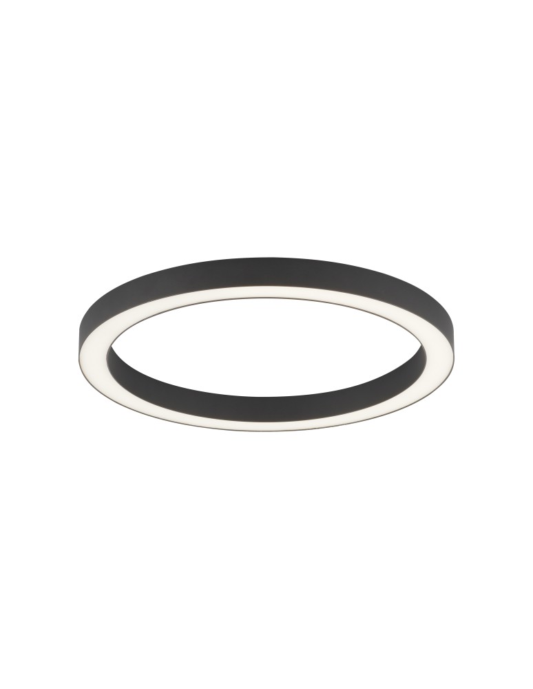 Ceiling lamps - Paul Neuhaus Pure-Lines 50cm Ceiling Light with Remote Control with Light Color Control and Dimming Anthracite 6309-13 - product kolory-swiatla.pl 2