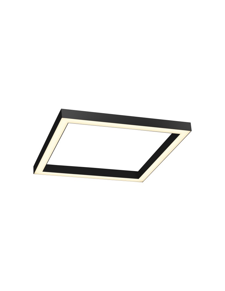 Ceiling lamps - Paul Neuhaus Pure-Lines 55cm Ceiling Light with Remote Control and Dimming Anthracite 6022-13 - product kolory-swiatla.pl 2