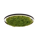 Ceiling lamps - Leuchten Direkt Green Ritu 58cm Icelandic Moss Dimmable 3-Stage Ordinary Switch 3000K Black/Green 15392-66 - product 2