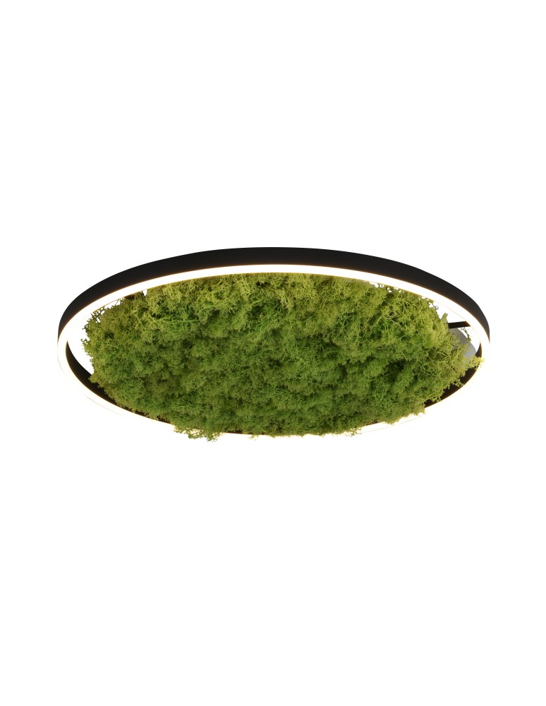 Ceiling lamps - Leuchten Direkt Green Ritu 58cm Icelandic Moss Dimmable 3-Stage Ordinary Switch 3000K Black/Green 15392-66 - product kolory-swiatla.pl 2