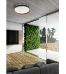 LED Plafonds - Zuma Line BLACK/DREAM CL2204003-490MBWT SUFFIT. - product 4