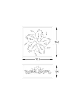 Zuma Line SPRING ZŁOTY/CZARNY MAT/PRZEZROCZYSTY C0578-04A-B5TF SPRING - produkt 2