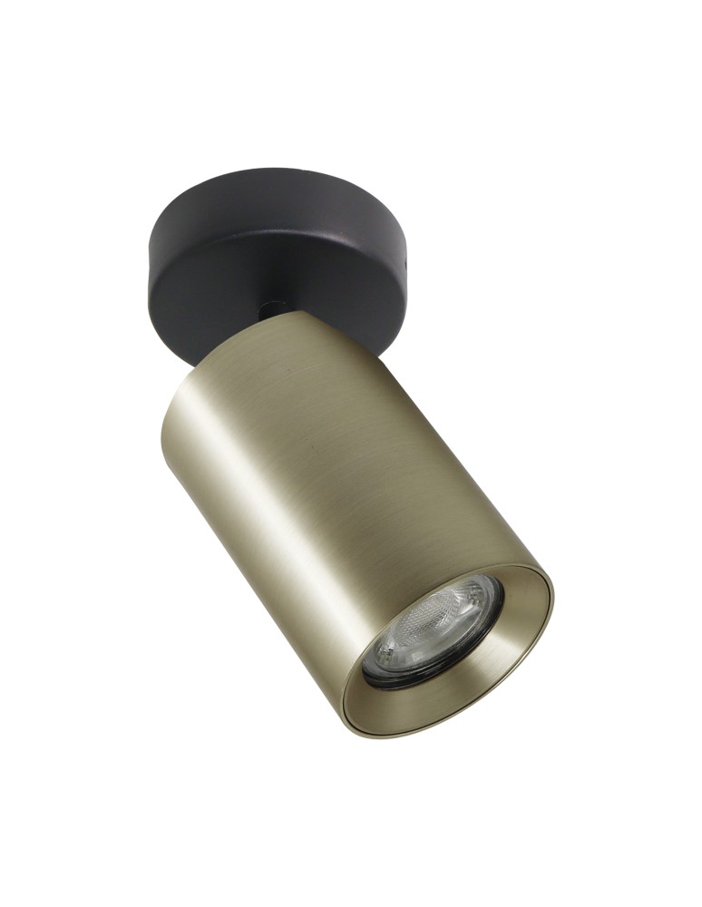 Adjustable ceiling lamps - spots - Zuma Line TORE GOLDEN DETAILED TLS006-GLD SPOT. - product kolory-swiatla.pl 1