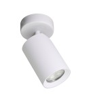 Adjustable ceiling lamps - spots - Zuma Line TORE WHITE TLS006-WH SPOT - product 1