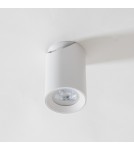 Adjustable ceiling lamps - spots - Zuma Line TORE WHITE TLS006-WH SPOT - product 5