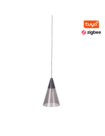 Maxlight ZigBee System 6W 187lm 2700-5000K Magnetic Pendant Lamp M0015Z.