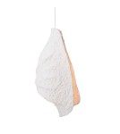 Pendant lamps - Maxlight Concha Pendant Lamp P0540 - product 2