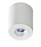 Ceiling luminaires for replaceable light source - Azzardo BRANT WHITE 1xGU10 Surface-mounted White AZ2818 - product 1