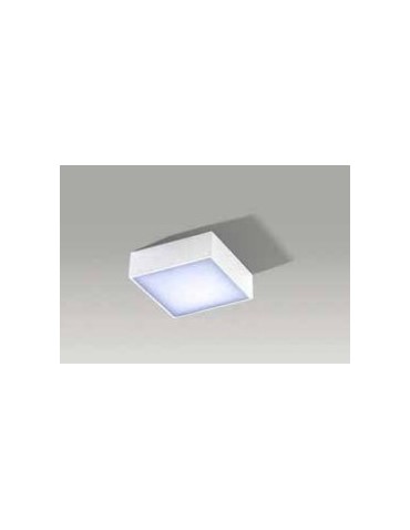 Azzardo FALCO 12 4000K WHITE 1xLED Ceiling Light White AZ2781