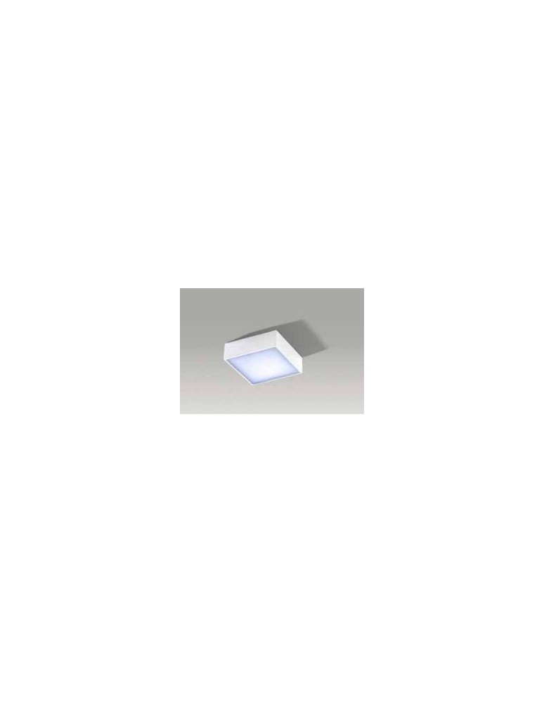 Square plafonds - Azzardo FALCO 12 4000K WHITE 1xLED Ceiling Light White AZ2781 - product kolory-swiatla.pl 1