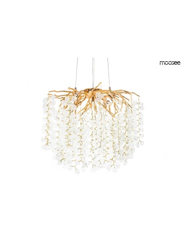 MOOSEE RIVIERA 60 gold / clear pendant lamp (5900168832947)