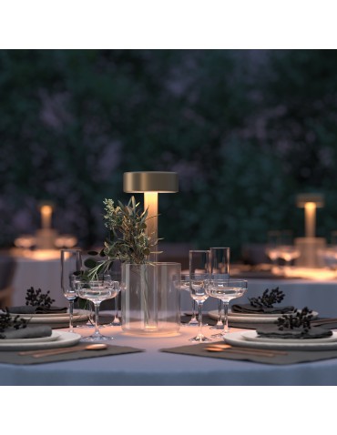 Maytoni AI Collaboration Rechargeable LED Table Lamp 3W 120lm Gold MOD229TL-L3G3K1. - product 2