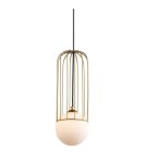 Loft pendant lamps - ITALUX Simon Gold Pendant 1xG9 25W MDM-3938/1 GD - product 1