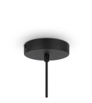 Pendant lamps - Maytoni Roots Wooden Pendant Lamp 1xE27 40W Black MOD197PL-01W - product 5